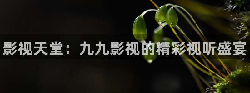 酷客影院在线观看免费