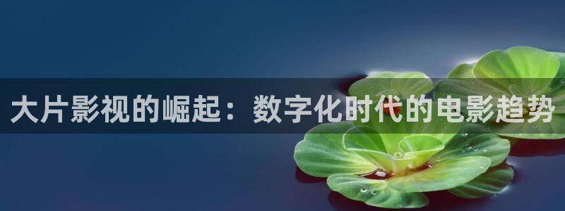 酷客影院hd免费观看